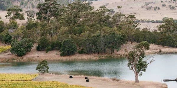Tasmanian Irrigation GSEIS Photography