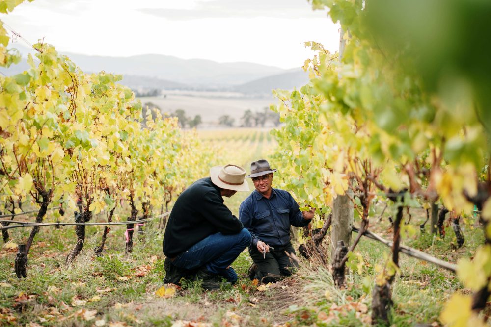 Discussing yields in the Coal Valley