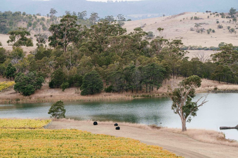 Tasmanian Irrigation GSEIS Photography