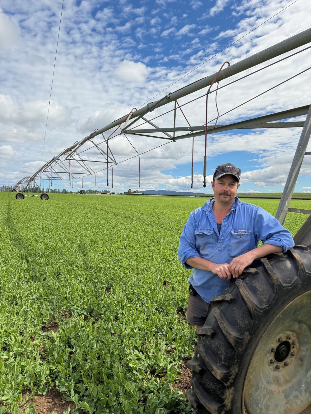Summerhill Farms James under irrigator